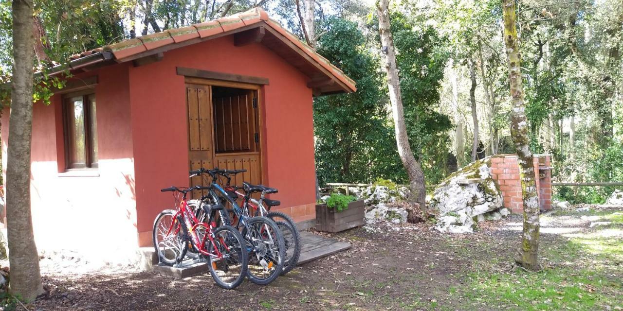 Apartamentos Rurales La Fuente De Bascones Villahormes Εξωτερικό φωτογραφία